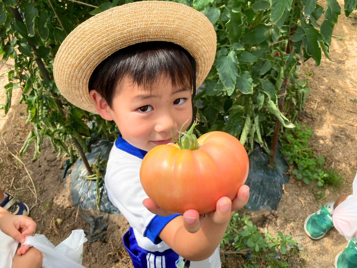 トマト男の子.png