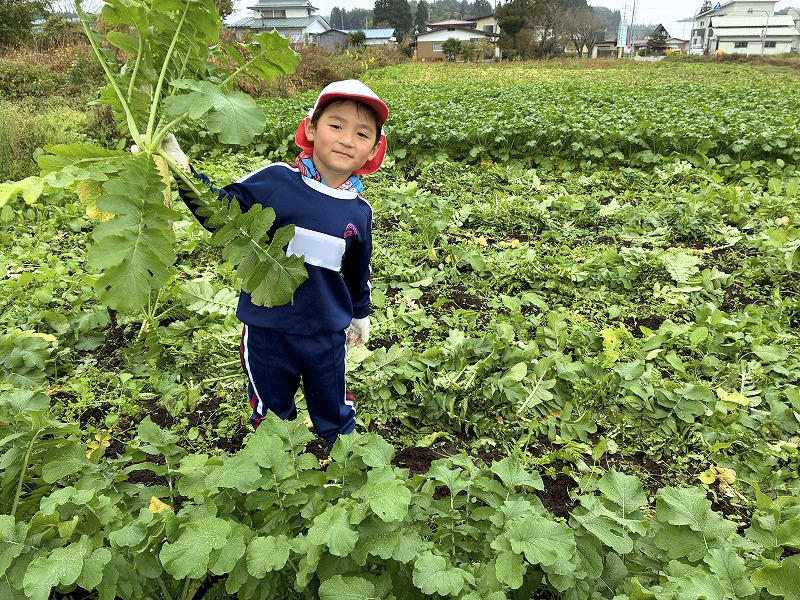 【名前消し】大根持つ男の子④.png