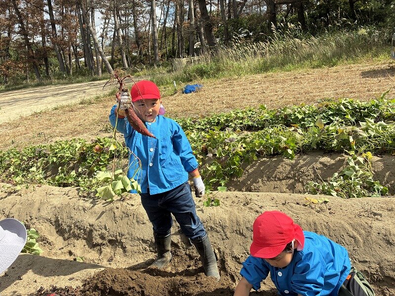 さつまいもを採った男の子③.jpg
