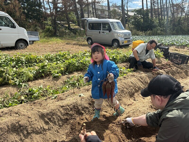 さつまいもが採れた女の子④.jpg