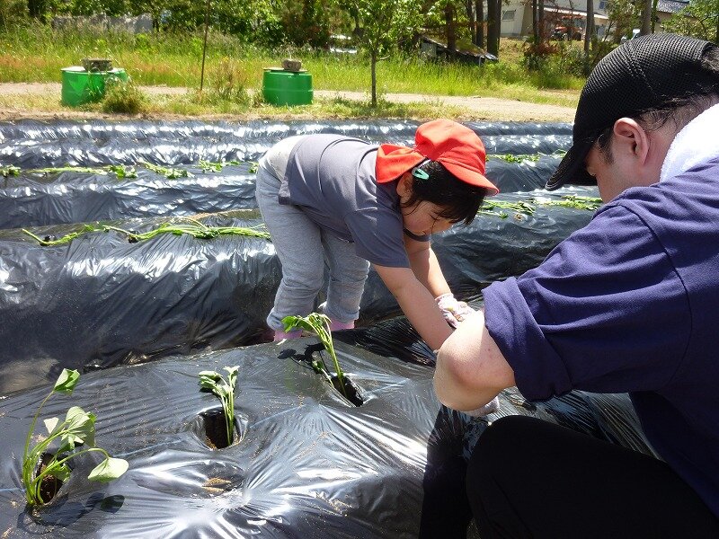 植え付け③あ.jpg