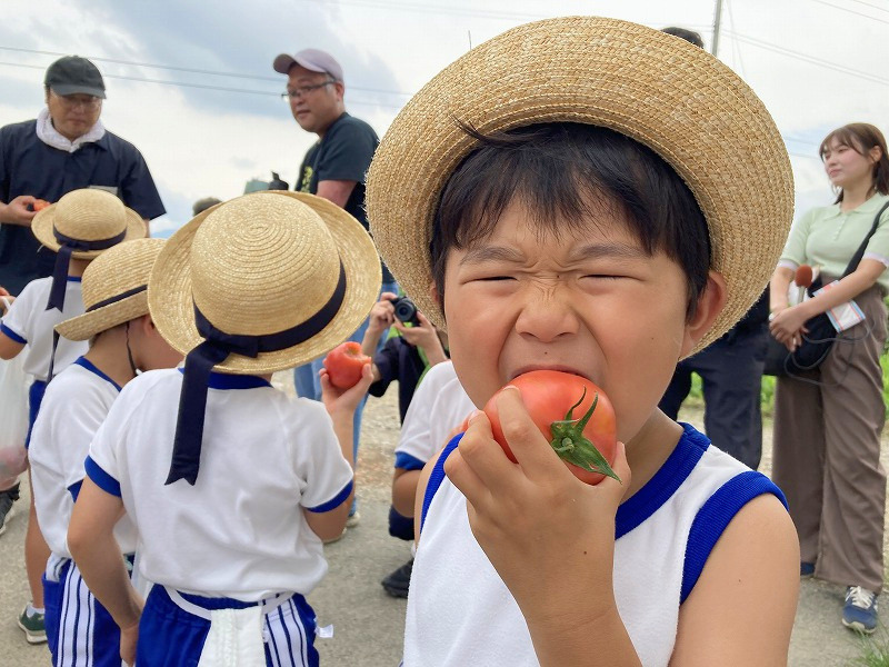 トマト丸かじり.png