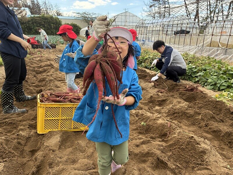 収穫①サムネ.jpg
