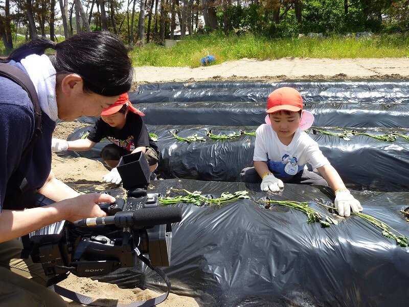 植え付け⓶.jpg