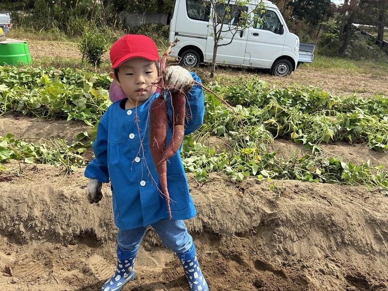 さつまいもを取れた男の子.jpg