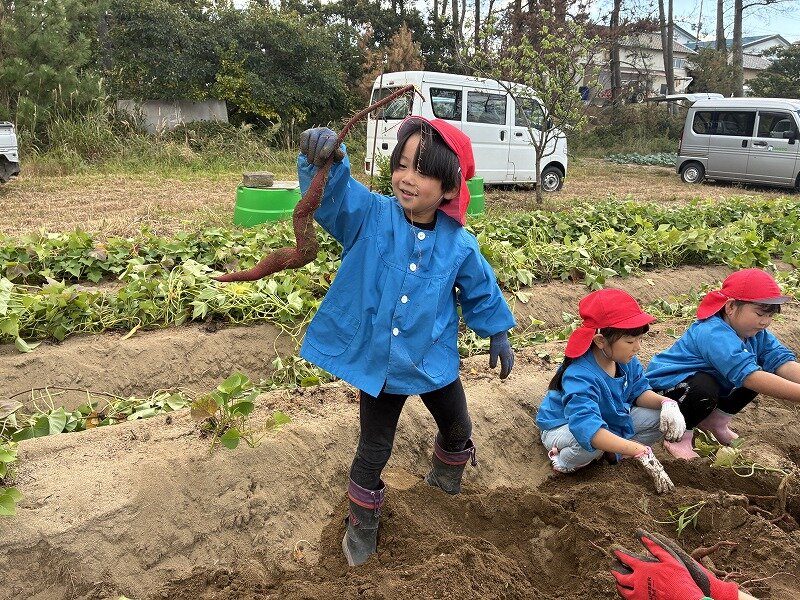 収穫②変な形のさつまいも.jpg