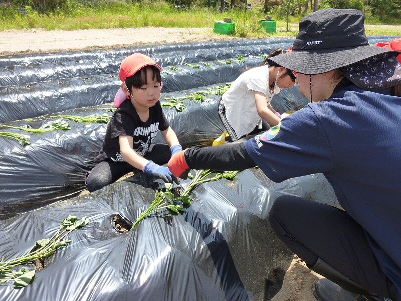 植え付け①.jpg