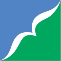 Link Icon
